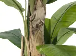 EUROPALMS dirbtinis bananų medis, 170 cm, žali lapai, juoda vaza 82509539