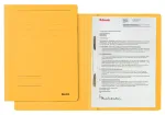 Leitz 30030015 aplankas A4, kartonas/plastikas, geltonas