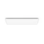 Philips Functional Panel 36 W LED lubinis &scaron;viestuvas, stačiakampis, 300&times;1200&times;42 mm, baltas
