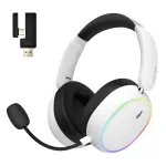 HATOR Phoenix 2 Wireless ausinės su mikrofonu, belaidės ir laidinės, žaidimams, USB Type-C / USB Type-A, Bluetooth, baltos