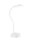 Stalinė lempa Philips Functional Rock LED White 5000K