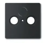 Busch-Jaeger 1743-885 dengiamasis rėmelis anteniniams lizdams su 2 jungtimis, juodas