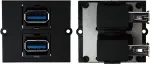 Ki&scaron;tukinis lizdas Bachmann 917.059 2 x USB A juodas