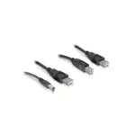 DeLOCK 82461 0,3 m maitinimo kabelio rinkinys: USB-A 4 kontaktų (M) &ndash; USB-B 4 kontaktų + DC 2,1 mm (M)