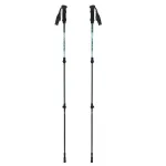 Trekkingo lazdos suaugusiems VIKING Kivi 2.0 Trekking Green UNI
