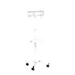 Gembird mobilus TV stovas su ratukais 32&ndash;55 col., baltas, VESA 100x100&ndash;400x400, 30 kg