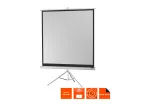 celexon Economy projektorinis ekranas ant trikojo 133 x 133 cm White Edition