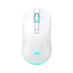 Belaidė pelė Baracuda BGM-122 Turtle White TURTLE-W