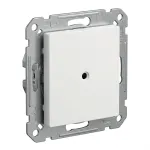 BUSCH JAEGER BJ 2538-915 Blindzentralscheibe mit Tragring Busch-balance SI (2CKA001715A0321)