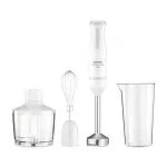 Zelmer ZHB4562S Pulsar Deluxe Max rankinis blenderis, pilka spalva