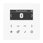 JUNG DABLSBTWW i&scaron;manusis radijas DAB+ su Bluetooth, Alpine White