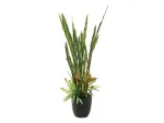 EUROPALMS Succulent Mix dirbtinis augalas, 190cm 82600035