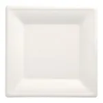 PAPSTAR pure kvadratinės cukranendrių lėk&scaron;tės 260 x 260 mm, 12 vnt., kompostuojamos, tinkamos mikrobangų krosnelei 89755