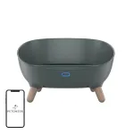 Petoneer Smart Bed Cozy Sofa PN-110031-01 &ndash; termoreguliuojama katės lova su &scaron;ildymu ir vėsinimu