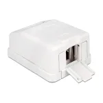 Delock 86235 balta Keystone dėžutė ant pavir&scaron;iaus, 1 prievadas, su apsauga nuo dulkių