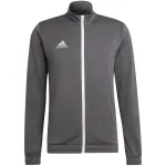 adidas Entrada 22 sportinis &scaron;varkas Grey Four S H57522