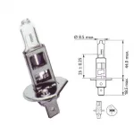 Lemputė PHILIPS 55W 12V P14,5s H1 LongLife EcoVision