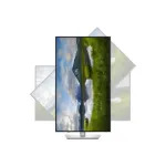 Dell | P3225QE | 32 " | IPS | 4K UHD | 16:9 | 100 Hz | 5 ms | 3840 x 2160 pixels | 350 cd/m&sup2; | HDMI ports quantity 1 | Warranty 60 month(s)
