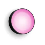 Philips Hue WCA Daylo Outdoor Wall Lantern, Black | 15 W | 2000-6500 Hue White Colour Ambiance