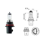 Lemputė PHILIPS 65/45 12V P29t HB1