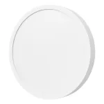 Xiaomi Smart Ceiling Light D20 | 17 W