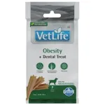 FARMINA VET LIFE - DOG TREAT - OBESITY ADULT MED&MAX 100 g