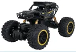 RoGer Climb Power RC Toy Car 1:18