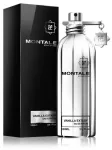 Montale Vanilla Extasy Perfume EDP 100 ml