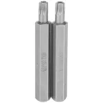 Antgalis TORX su skyle 15x75 mm, RICHMANN, 2vnt.