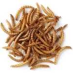 PRODAC Mealworms džiovinti milčiai 100ml