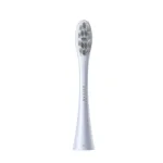 Oclean Professional Clean 2 vnt. P1C9 dantų &scaron;epetėlio antgaliai, sidabro spalvos