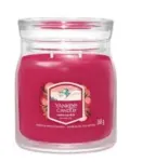 Yankee Candle Santa On Skis Aromatic Candle 368 g