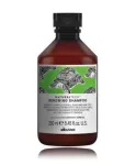 Davines Natural Tech Renewing Shampoo 250 ml