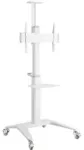 Gembird Aluminum TV floor stand with caster wheels, 37" - 70", white | Gembird