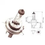 Lemputė PHILIPS 60/55 12V P43t H4 LONGLIFE ECOVISION