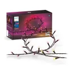 Philips Hue Festavia string lights 250 LED, 20m | 14 W | Variable