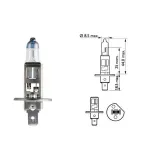 Lempučių komplektas 2vnt. PHILIPS 55W 12V P14,5s H1 X-TREME VISION G-FORCE