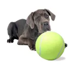 RoGer Giant Tennis Ball Dog Toy XXL