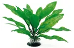 AMTRA ECHINODORUS augalas plant classic 23cm LG 1vnt