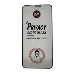 LCD apsauginis stikliukas ESD Anti-Static Privacy Samsung S921 S24