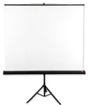 Avtek Tripod Standard 200 projection screen 1:1