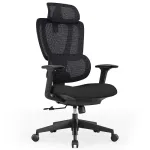 Reguliuojama ergonominė biuro kėdė su galvos ir juosmens atramomis, juoda