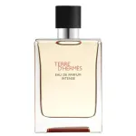 Hermes Terre d'Hermes EDP 100ml