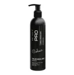 DR LUCY Black & Silver - shampoo for dark coat for dogs - 250 ml