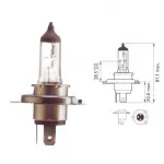 Lemputė PHILIPS 75/70W 24V P43t H4 MASTERDUTY BLISTERIS