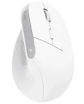Trust Bayo Wireless + Bluetooth Mouse 2400 DPI