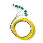 Qoltec 12 x Pigtail fiber optic LC/APC | Singlemode | G657A2 | 2m