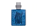 Nino Cerruti Cerruti 1881 EDP 100ml