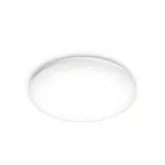 Philips Moire Ceiling Light 17W Metal/Plastic 32 x 6.8 cm 4000 K / white
