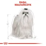 ROYAL CANIN Maltese Adult - dry dog food - 1,5 kg